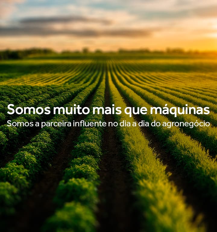 Sobre