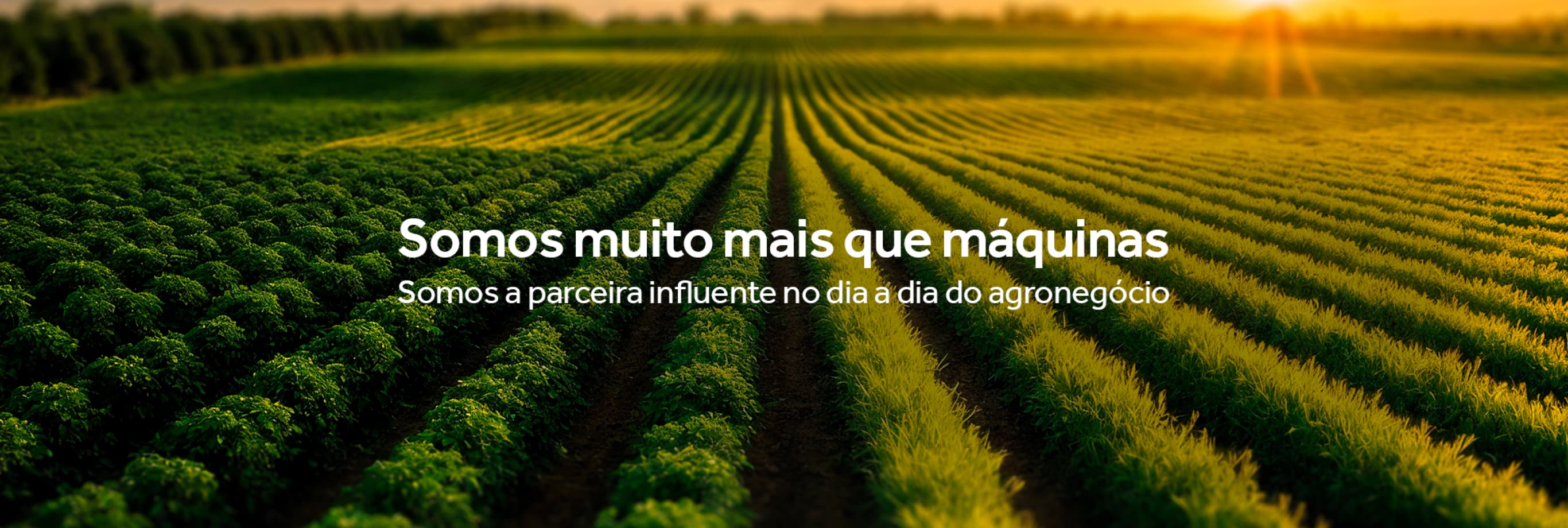 Sobre