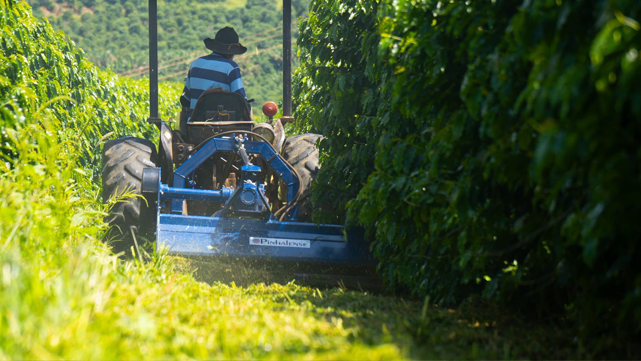 Imagen de trituradora acoplada al tractor, rozando monte.
