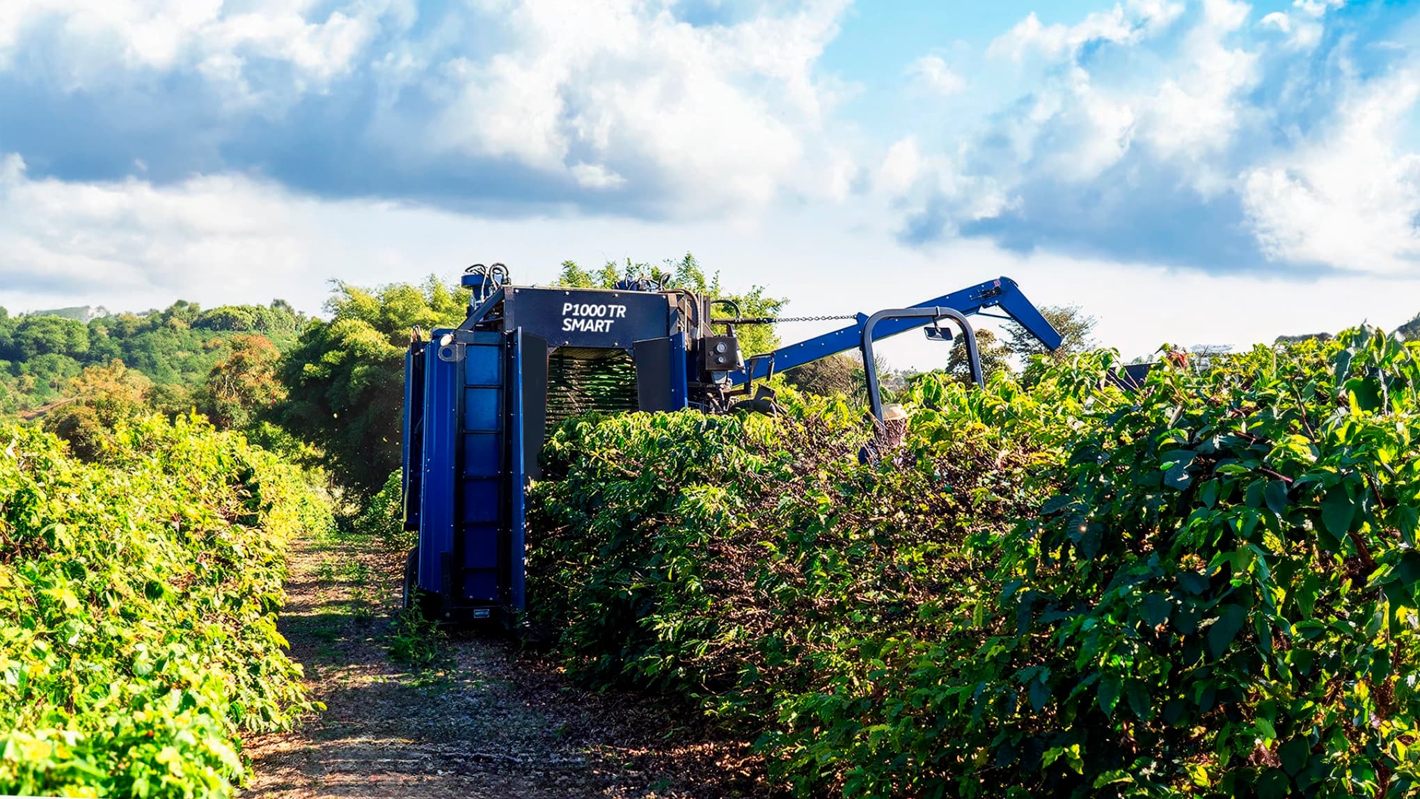 Colheitadeira de café Pinhalense para pequenos, médios e grandes produtores