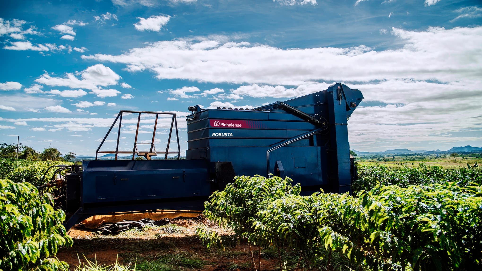 Recolhedora de café conilon Robusta da Pinhalense.