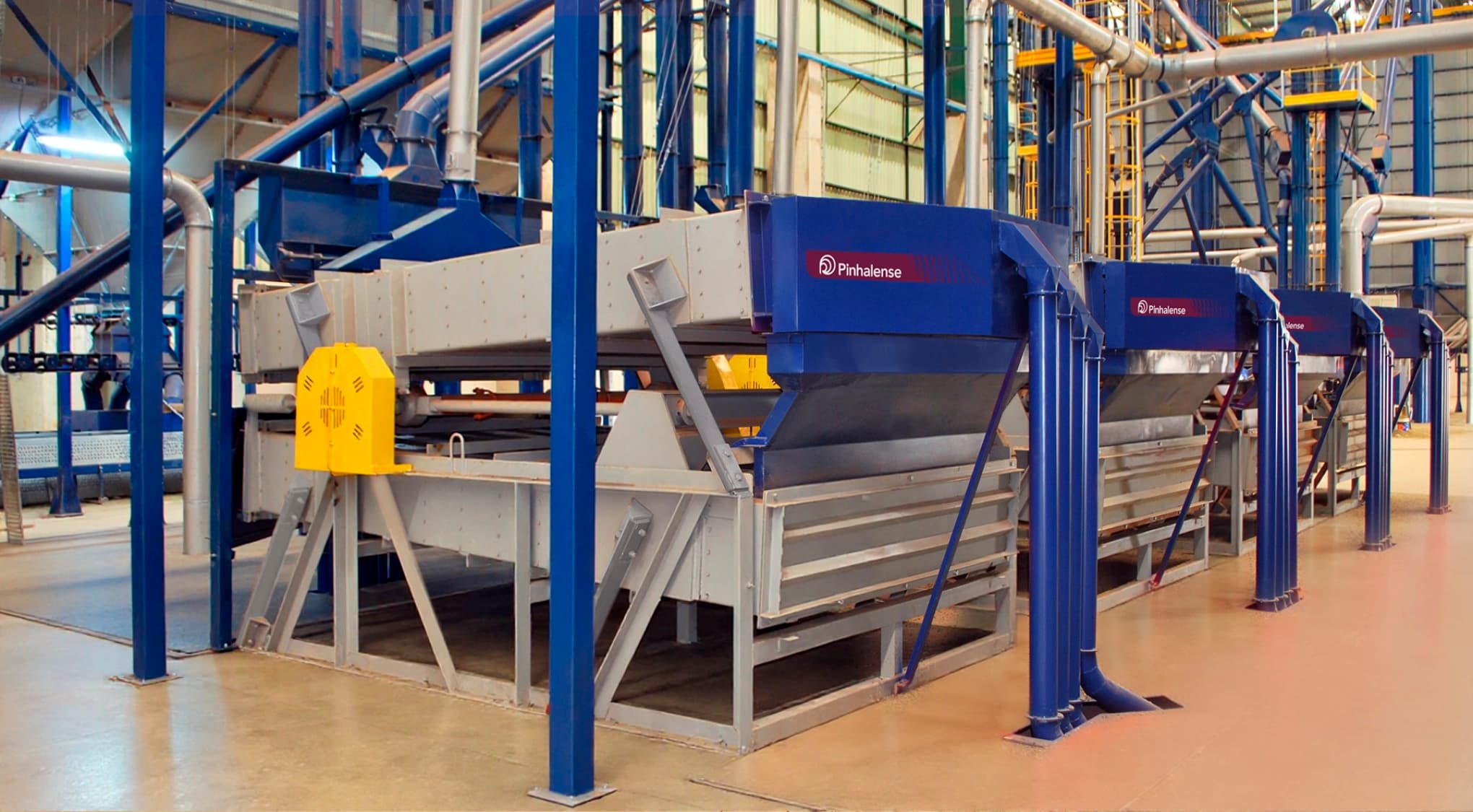 Classificador de café com fluxo ascendente.