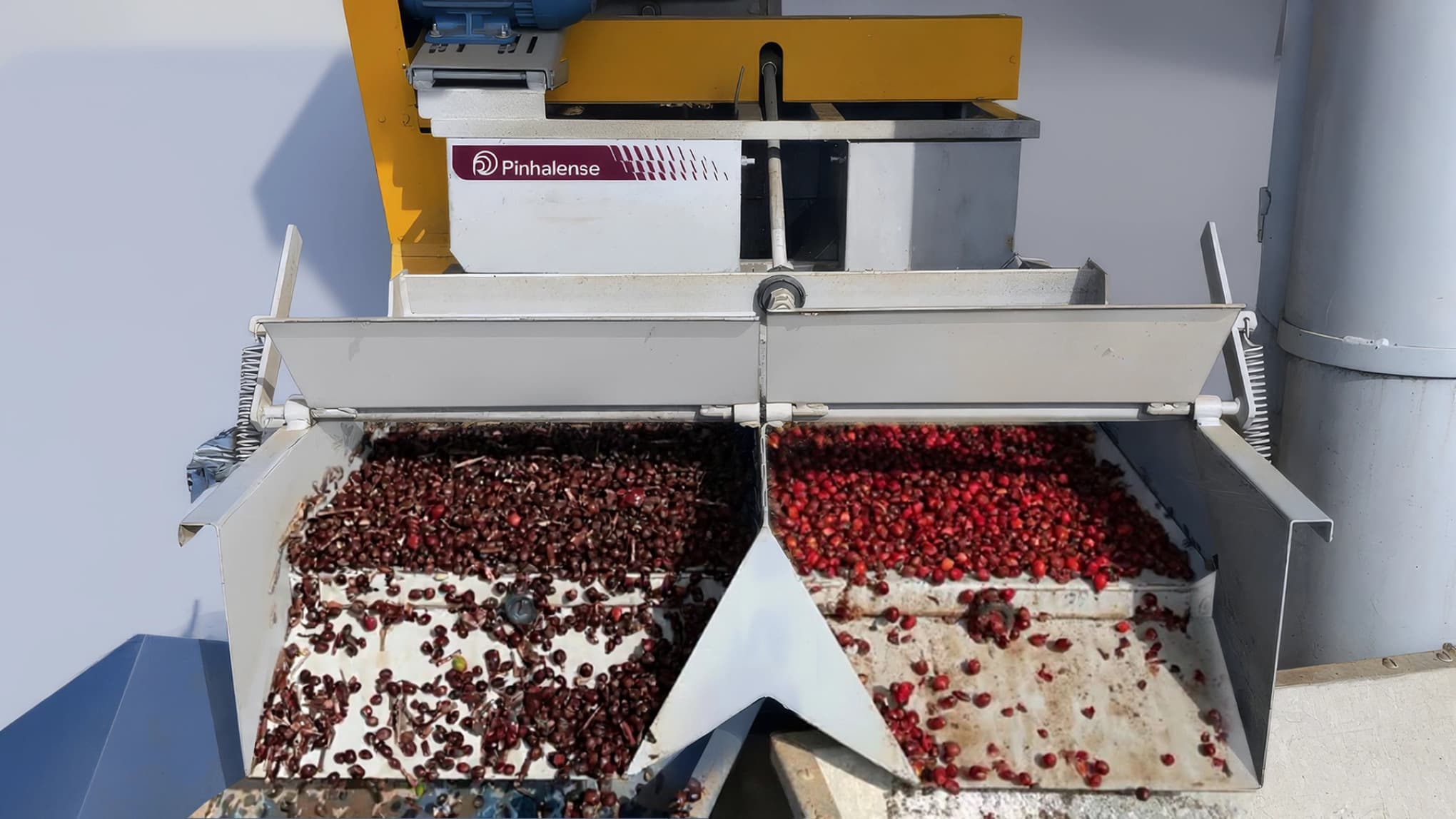 Compact coffee washer and separator Pinhalense