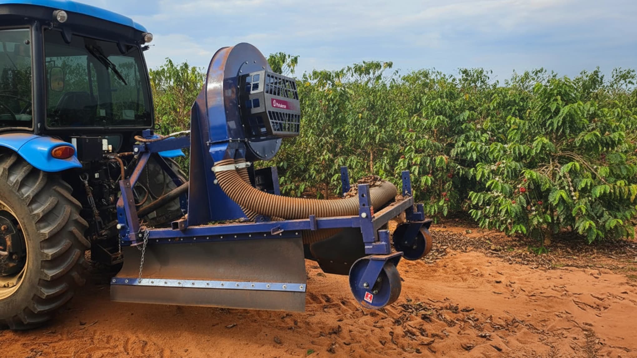 Arruador e Soprador de Café Pinhalense em funcionamento no cafezal.