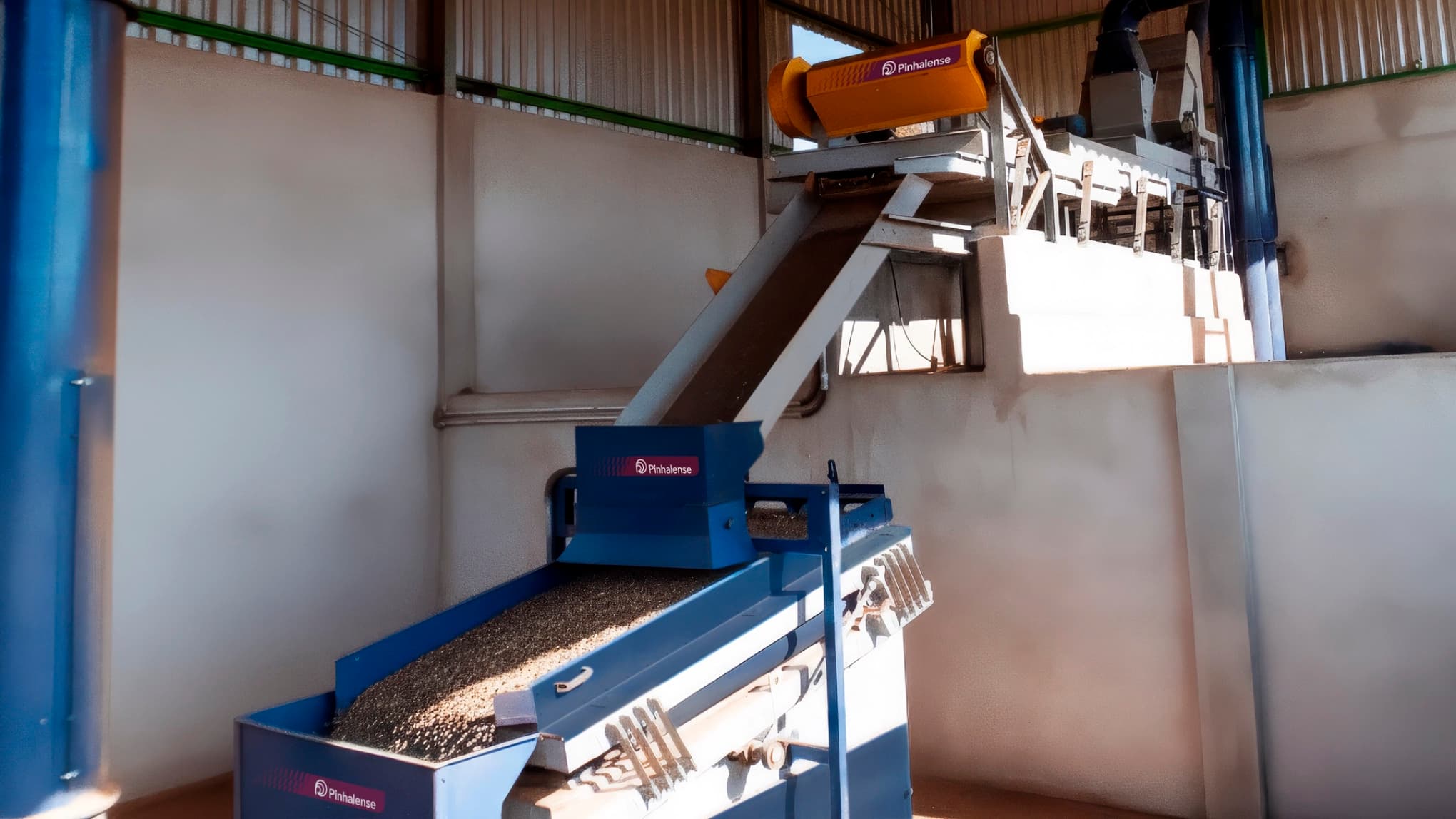 Máquina de Pré Limpeza de Café de Varrição em ambiente semi aberto, contendo bica de jogo, abanador e catador de pedras.