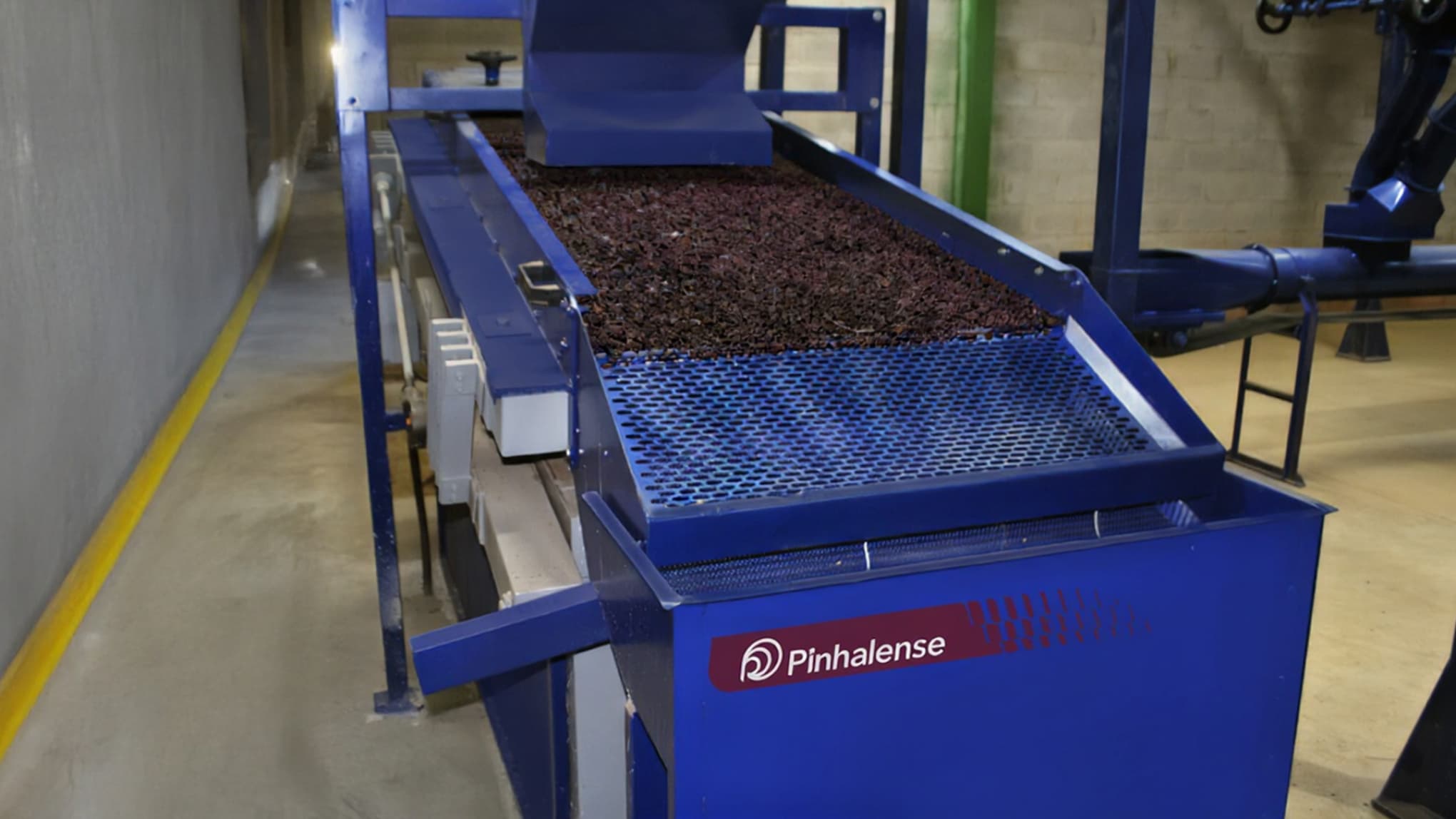 Catador de pedras para pimenta do reino dentro de armazém.