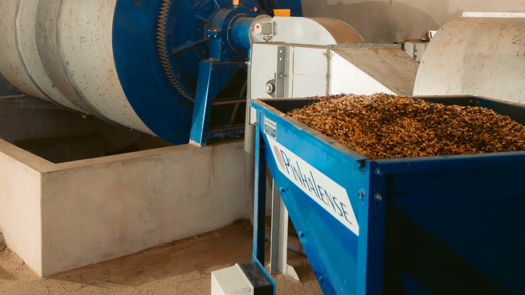 Coffee husk in the Pinhalense husk feeders.