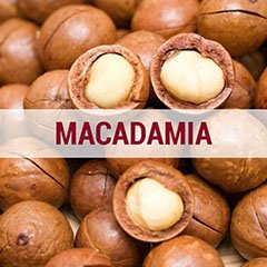 macadamia macadamia